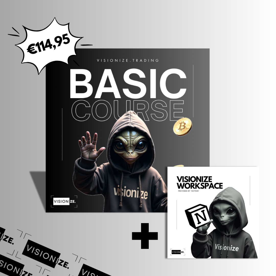 Visionize Basic Course