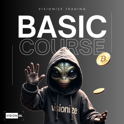 Visionize Basic Course