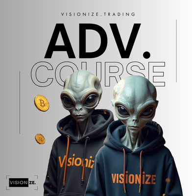 Visionize Advanced Course