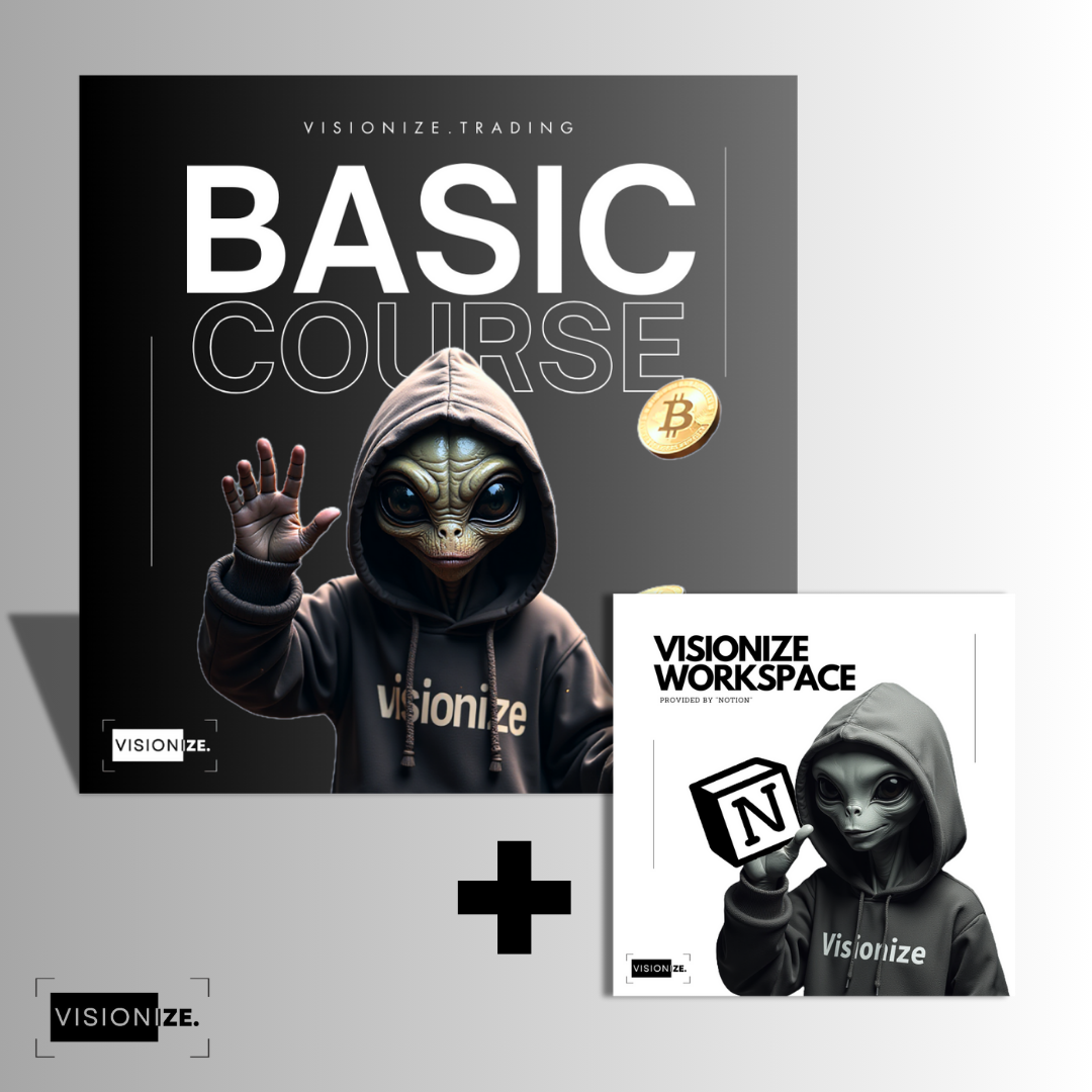 Visionize Basic Course