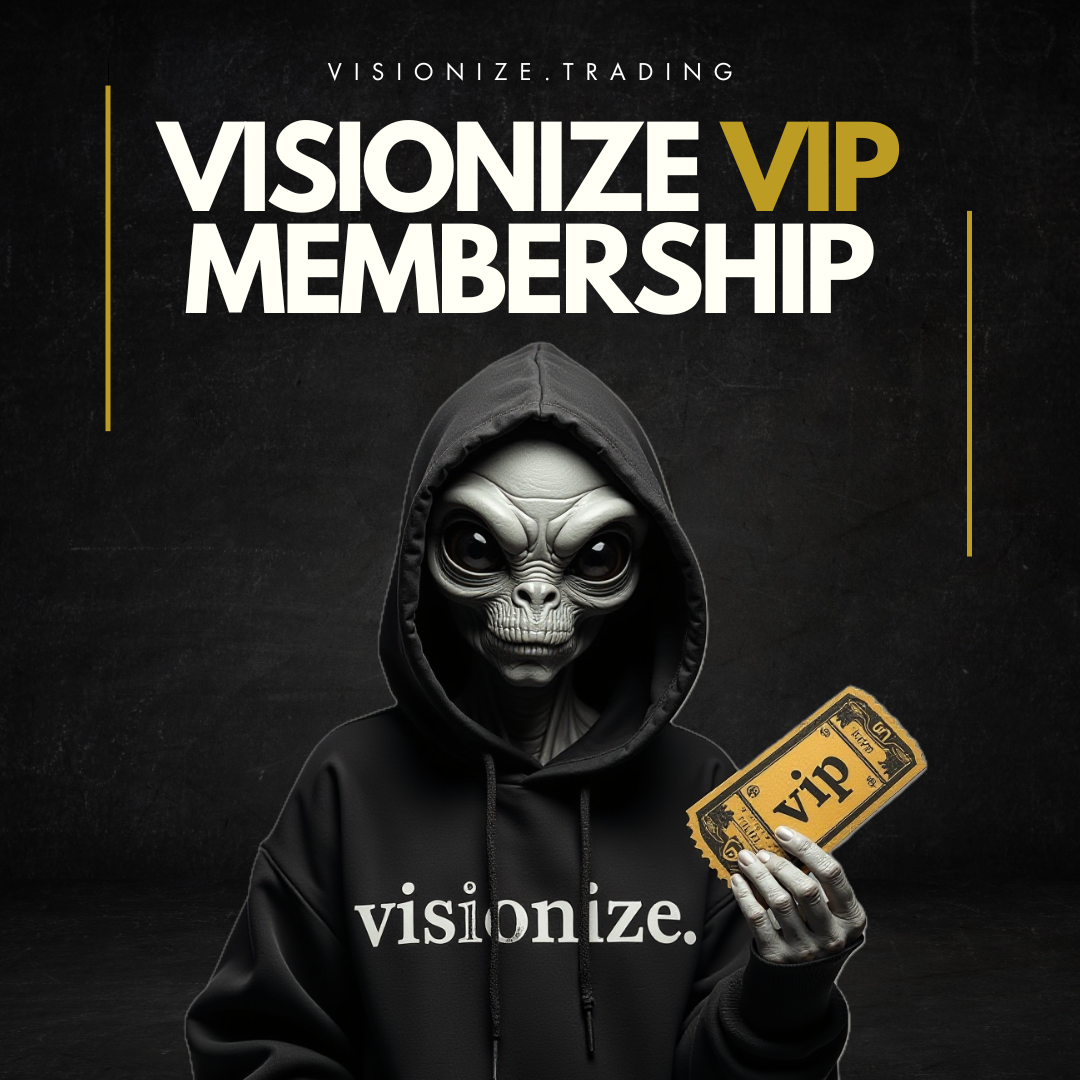 Visionize VIP - 3 months